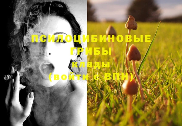 spice Белокуриха