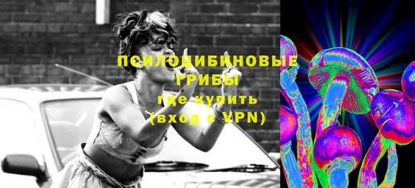 spice Белокуриха