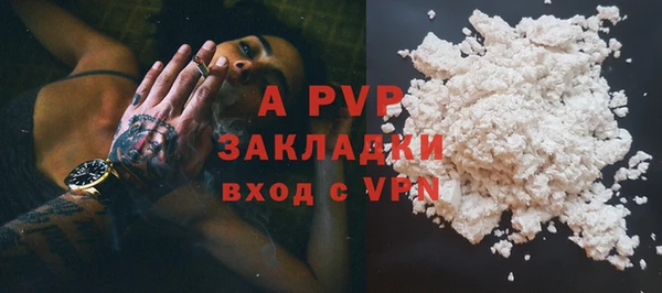 дурь Сясьстрой