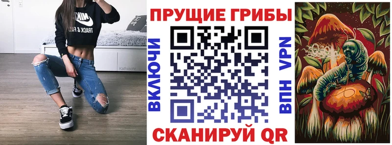 Псилоцибиновые грибы GOLDEN TEACHER  закладки  Валуйки 