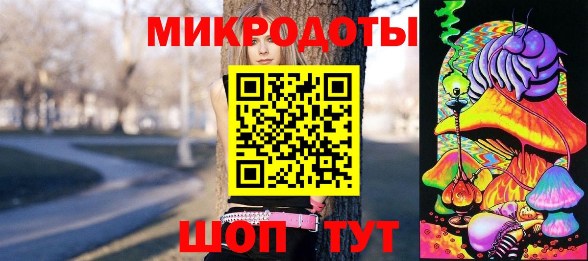 Псилоцибиновые грибы Psilocybine cubensis  Валуйки  Псилоцибиновые грибы Psilocybine cubensis 