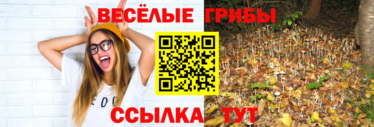 Псилоцибиновые грибы Psilocybine cubensis Валуйки