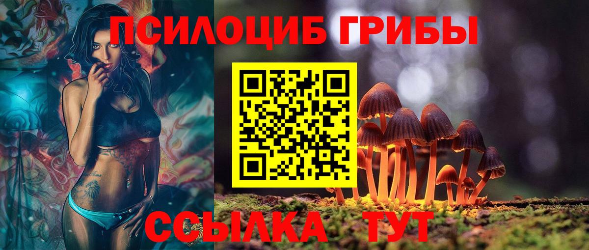 Галлюциногенные грибы MAGIC MUSHROOMS  Вход с VPN  Валуйки 